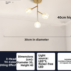 Modern LED Chandelier Lighting for Home and Restaurant