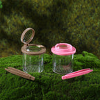 Insect Observation Tank Observation Box Outdoor Toys
