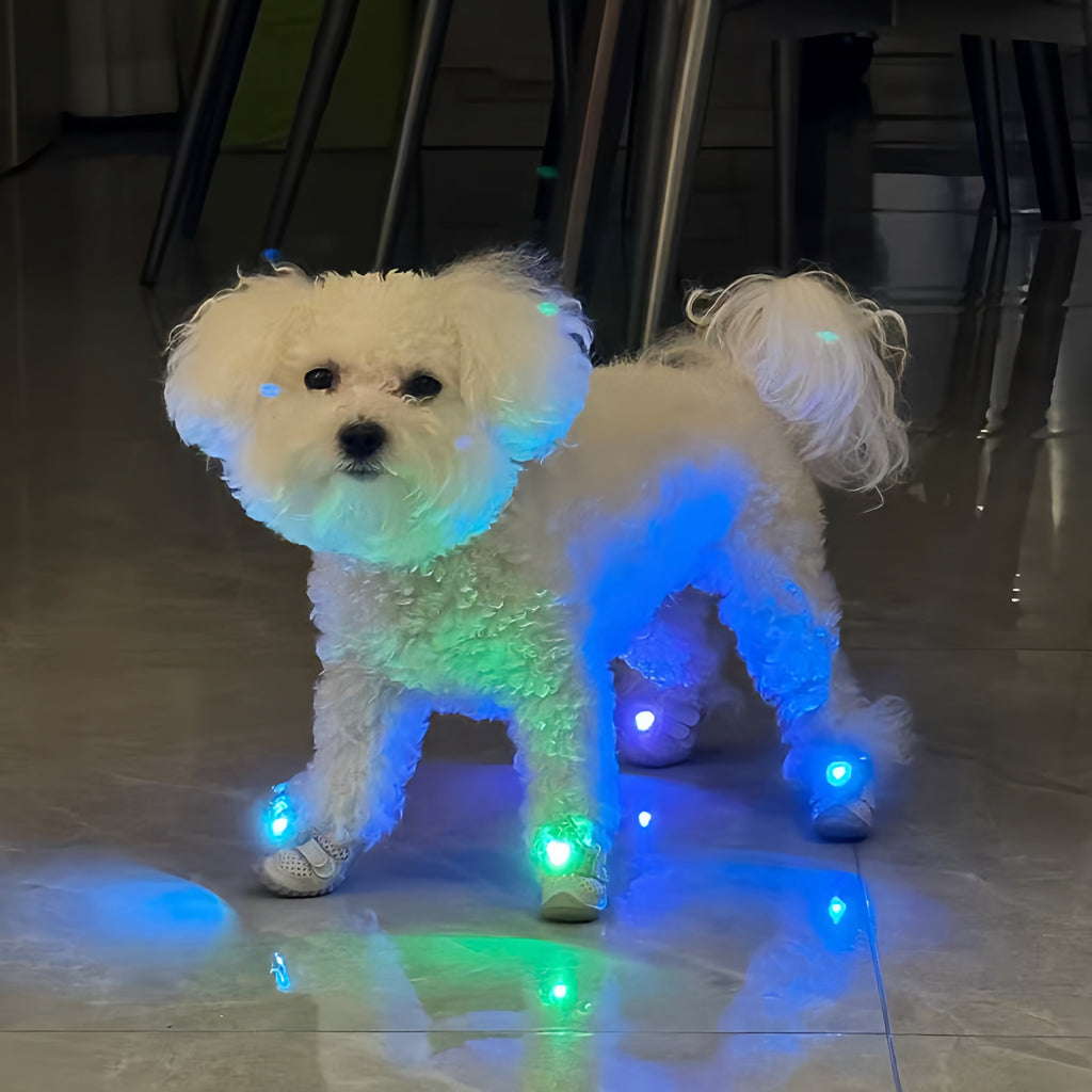 Dog Shoes with Cool Gradient Flashing Lights