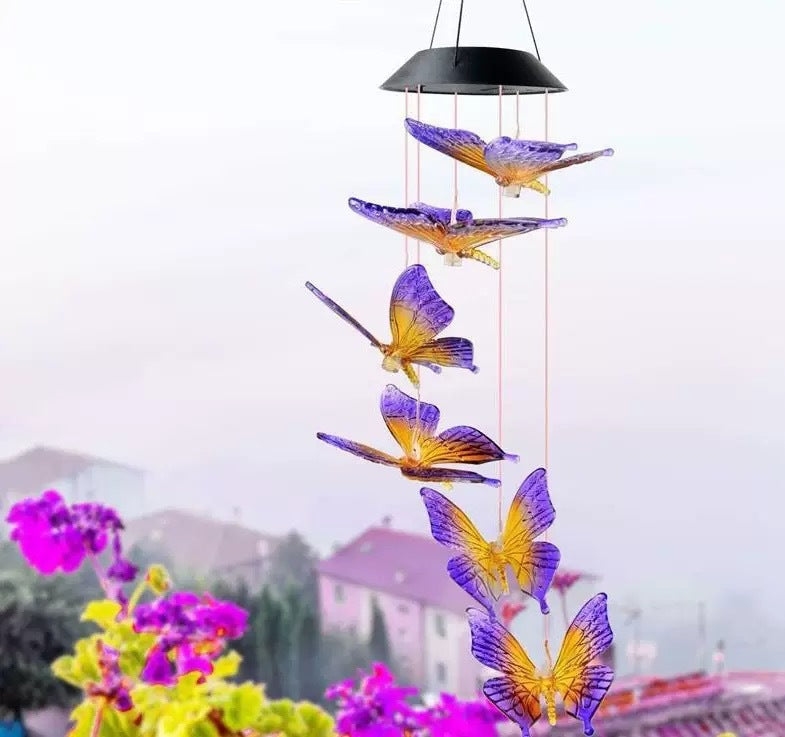 Solar Powered Outdoor Decorative Light