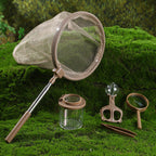 Insect Observation Tank Observation Box Outdoor Toys